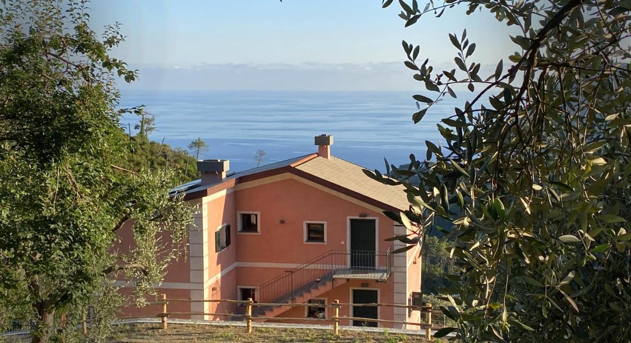 Agriturismo Missanega Villa Monterosso al Mare Esterno foto